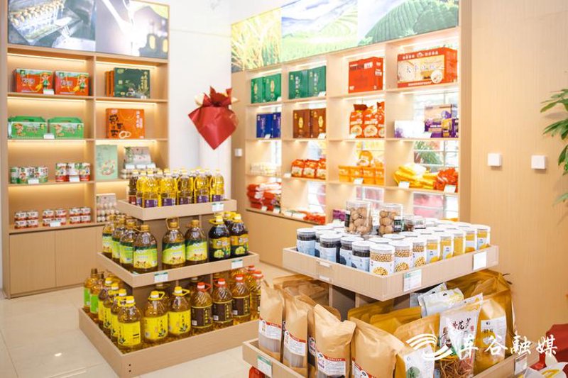 数字乡村：连接城乡与未来