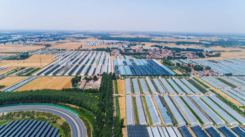 广东农业信息化的未来：科技引领新趋势