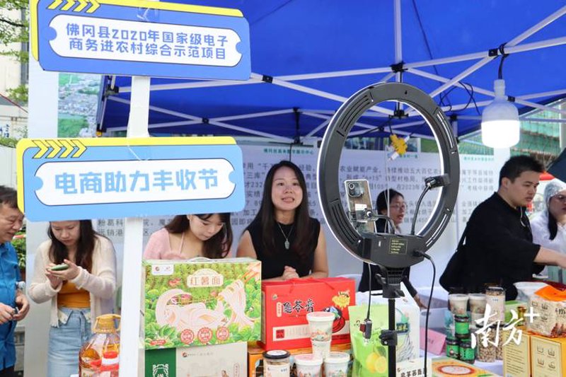 数字乡村：构建智慧农业新时代的桥梁